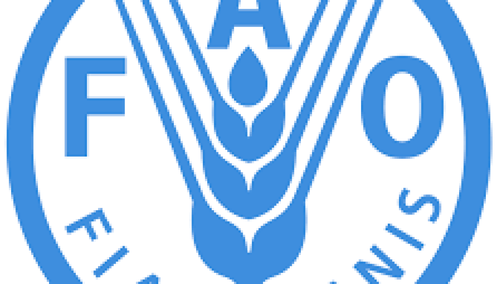 fao National Project Coordinator Vacancy-Job Ref: WJNAFAO/2207/2025821